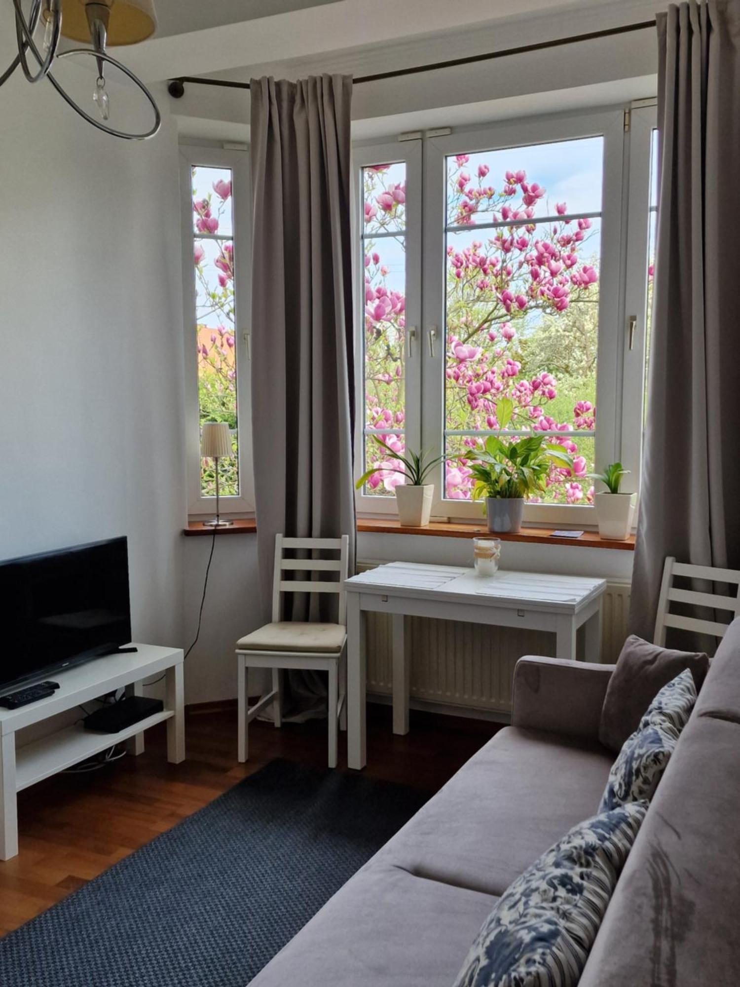 Apartament Magnolia โซพอต ภายนอก รูปภาพ